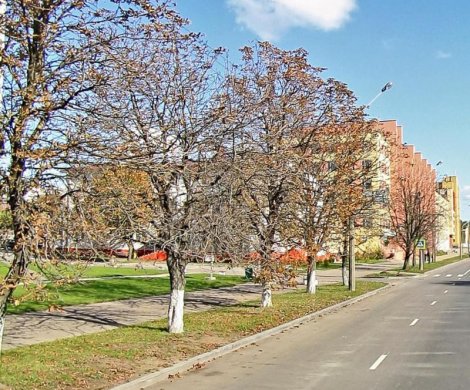 Бизнес-центр«Платонова, 43» - фото 4