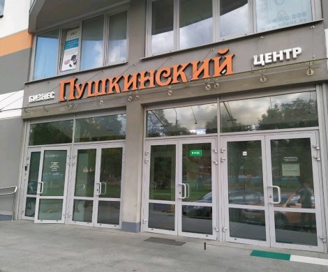 Бизнес-центр«Пушкинский» - фото 2