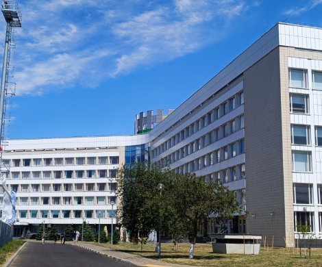 Минск, Победителей 105