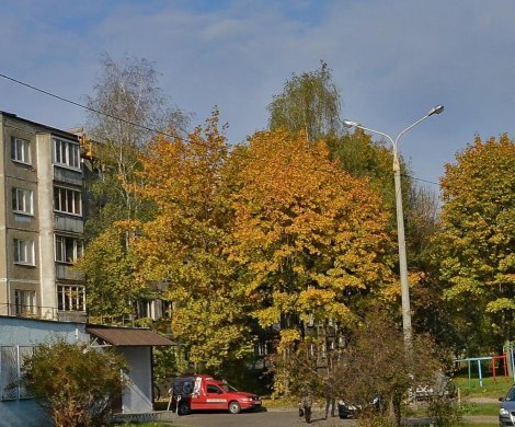 Минск, Рокоссовского 113