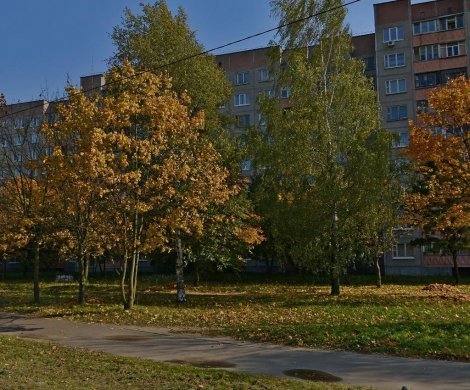 Минск, Ротмистрова 32