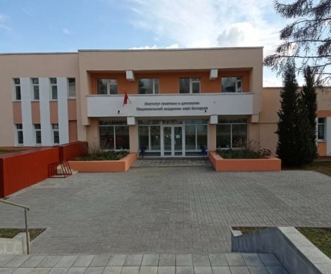 Минск, Скорины ул. 34