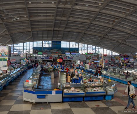 Минск, Хоружей 8