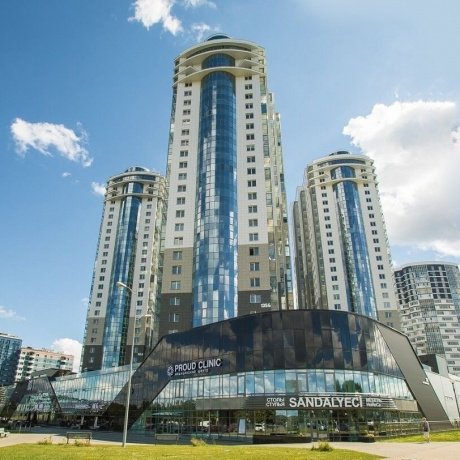 Дом по адресу Минск, Победителей, 135