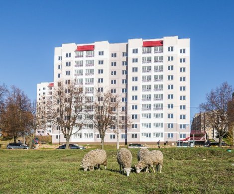Минск, Алтайская 206
