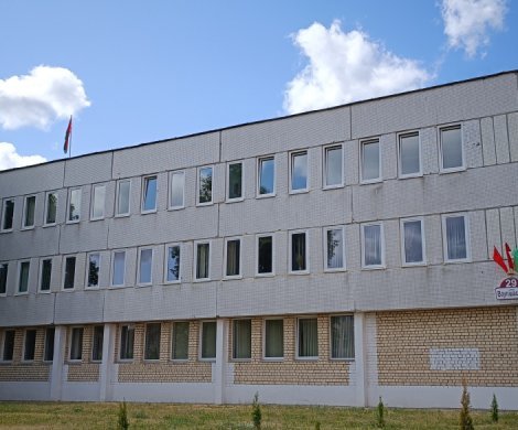 Минск, Ваупшасова 29