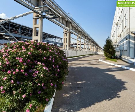 МФК«Селицкого 21В» - фото 2 МФК«Селицкого 21В» - фото 2