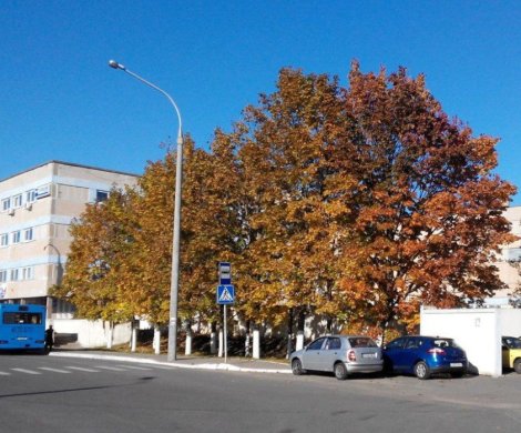 МФК«Скорины, 14» - фото 2 МФК«Скорины, 14» - фото 2