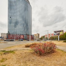 Фотография Парус - 1