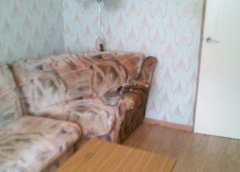 Двухкомнатная квартира по адресу Карбышева 7, город Минск - фото 5