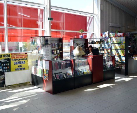 Торговый центр«Максимус (Малиновка)» - фото 7