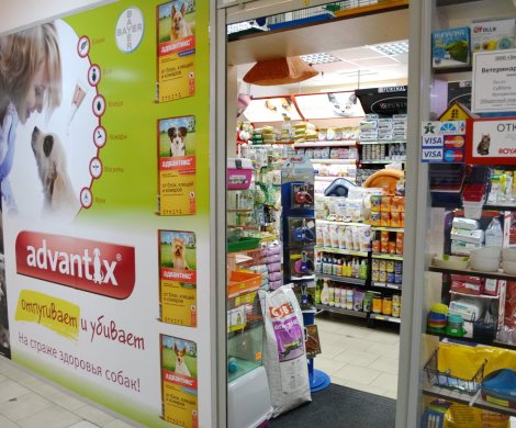 МФК«Пушкина 12А» - фото 5 МФК«Пушкина 12А» - фото 5