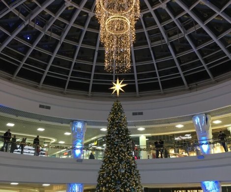 Торговый центр«Dana Mall» - фото 10