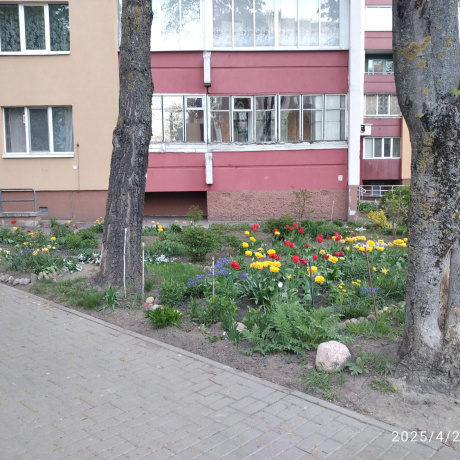 Фотография 3-комнатная квартира по адресу ЯКУБОВА ГУЛЯМА, 32 - фото 15