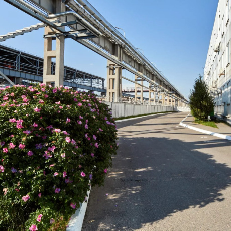 Фотография Минск, Селицкого ул., д.21-В, коммерческая - фото 3
