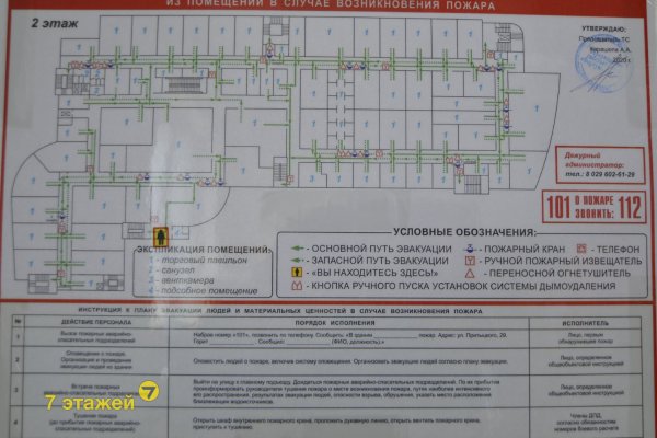 Торговое помещение Минск, Притыцкого ул., д.29 (66,2кв.) - фото 8