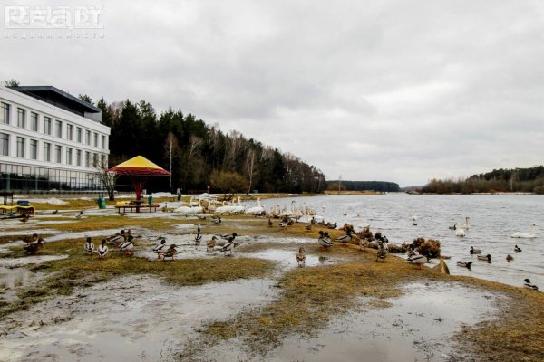 Аренда офисов на берегу Минского моря напрямую от застройщика! - фото 4