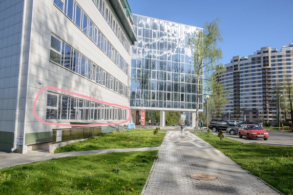 Торговое помещение 178 м&sup2;  на 1 этаже с тремя отдельными входами, рядом с метро. Отлично для шоурума или магазина. - фото 2