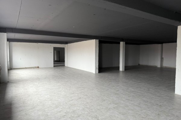 Просторное помещение 250 м2. Серова 2а - фото 1