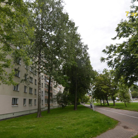 Фотография 2-комнатная квартира по адресу Пушкина просп., 38 - фото 1