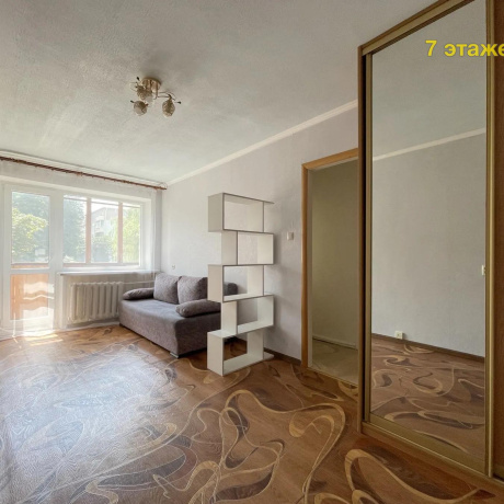 Фотография 1-комнатная квартира по адресу Козлова пер., 46 - фото 3
