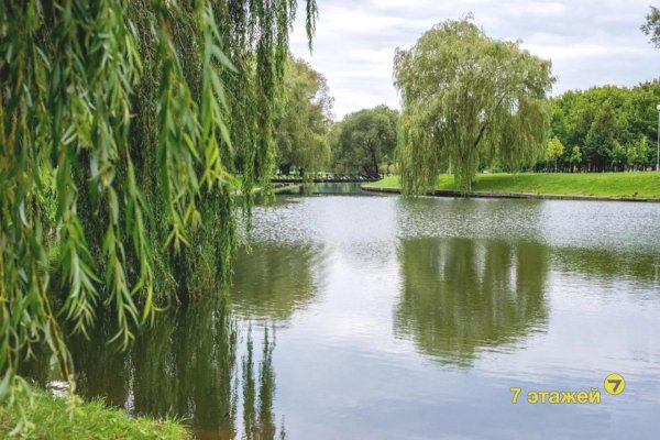 4-комнатная квартира по адресу Партизанский просп., 21 - фото 19