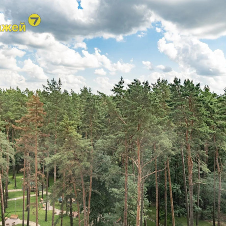 Фотография 2-комнатная квартира по адресу Подлесная ул., 4 - фото 9