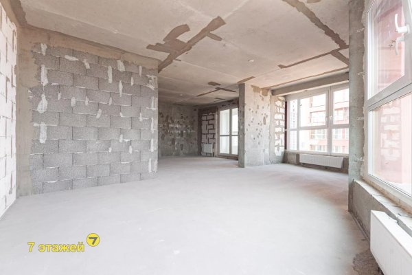 3-комнатная квартира по адресу Жореса Алфёрова ул., 5 - фото 16
