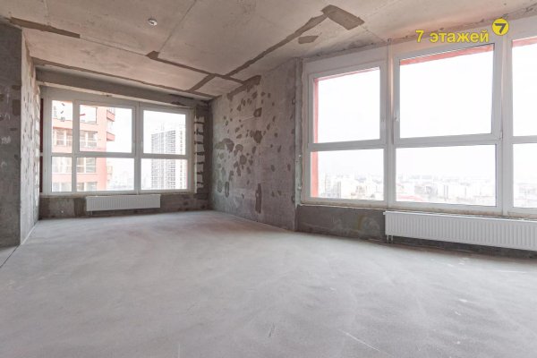 3-комнатная квартира по адресу Жореса Алфёрова ул., 5 - фото 15