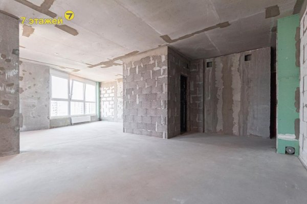3-комнатная квартира по адресу Жореса Алфёрова ул., 5 - фото 18