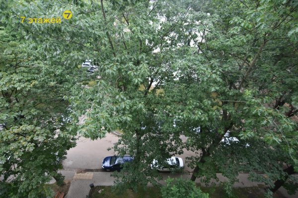 2-комнатная квартира по адресу Рокоссовского просп., 83 - фото 10