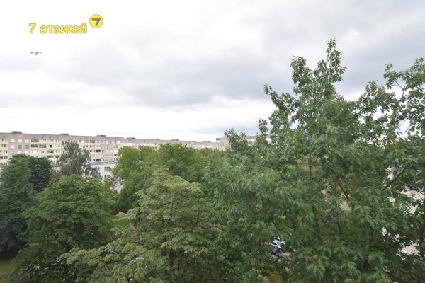 2-комнатная квартира по адресу Рокоссовского просп., 83 - фото 11