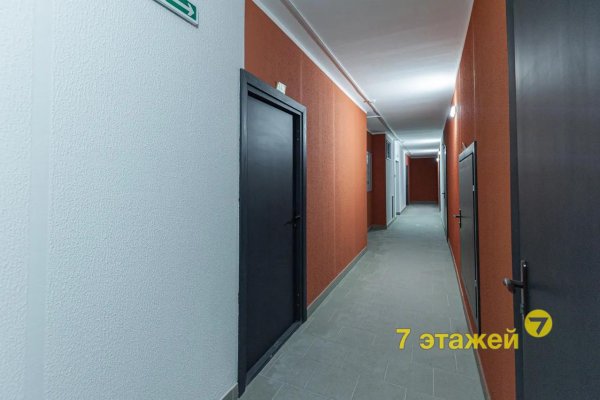 1-комнатная квартира по адресу Дзержинского просп., 19/А/А - фото 4
