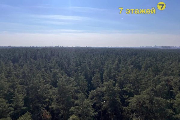 2-комнатная квартира по адресу Подлесная ул., 4 - фото 14