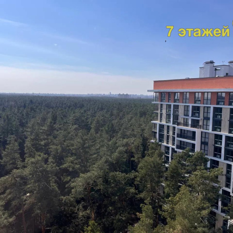 Фотография 2-комнатная квартира по адресу Подлесная ул., 4 - фото 13