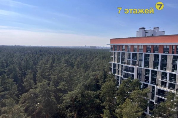 2-комнатная квартира по адресу Подлесная ул., 4 - фото 13