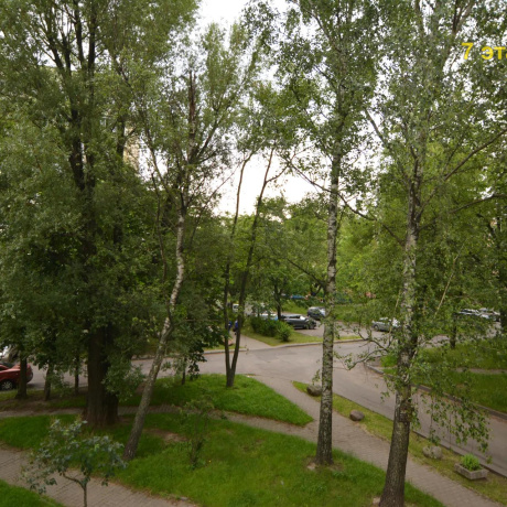 Фотография 2-комнатная квартира по адресу Пушкина просп., 38 - фото 13