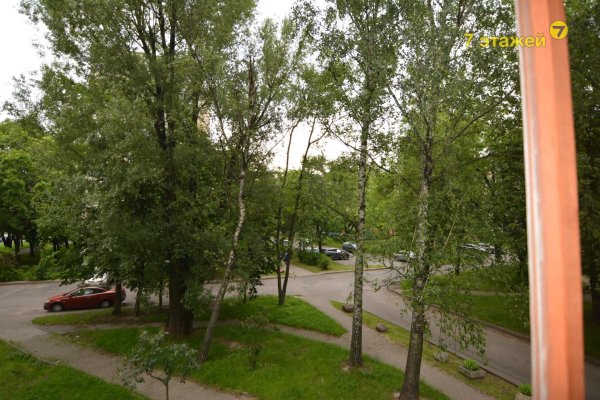 2-комнатная квартира по адресу Пушкина просп., 38 - фото 13