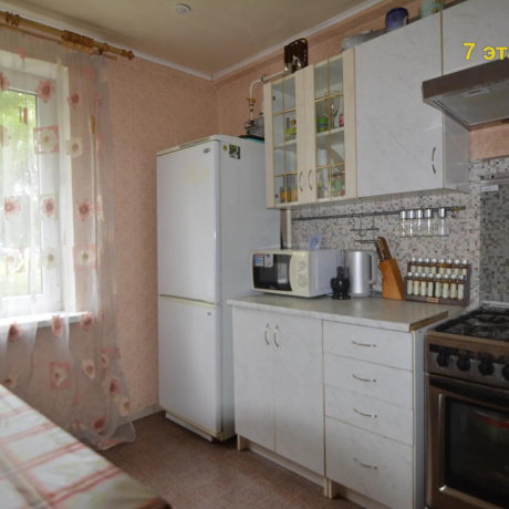 Фотография 2-комнатная квартира по адресу Пушкина просп., 38 - фото 16
