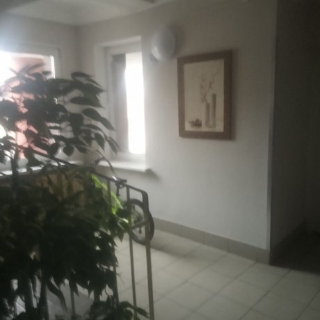 Фотография 3-комнатная квартира по адресу Жуковского ул., д. 29 к. б - 11