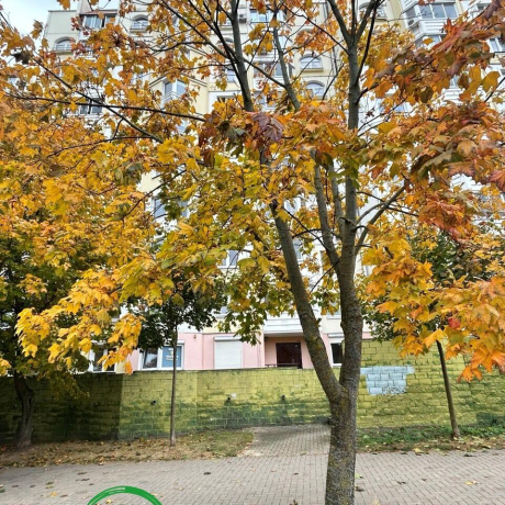 Фотография Продается производственное/складское помещение по адресу г. Минск, Корженевского пер., д. 2 к. А - фото 15