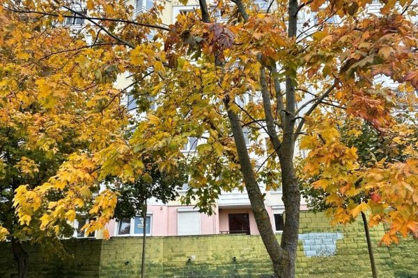 Продается производственное/складское помещение по адресу г. Минск, Корженевского пер., д. 2 к. А - фото 15