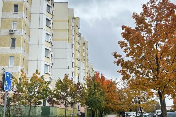 Продается производственное/складское помещение по адресу г. Минск, Корженевского пер., д. 2 к. А - фото 2