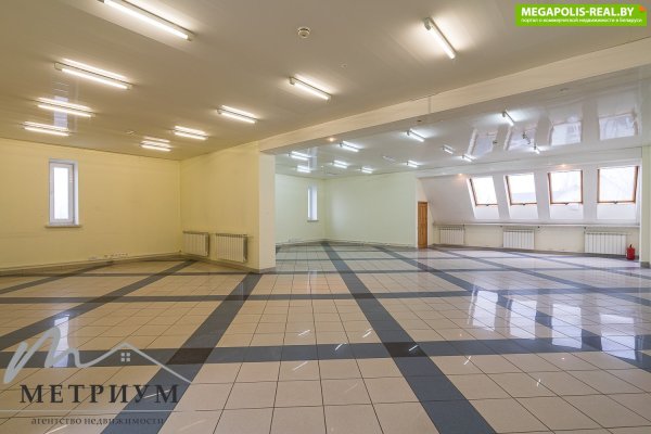 Продажа коттеджа ул. Ириновская ,19 (Центральный район) - фото 6