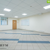 Фотография Продажа коттеджа ул. Ириновская ,19 (Центральный район) - фото 4