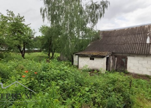 Живописное место в 16 км от г.Минска по адресу д. Лебединец, 19 - фото 3