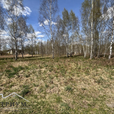 Фотография Аренда открытой площадки для вашего бизнеса недалеко от г. Минска д. Алексеевка, ул. Виноградная, 2! - фото 6