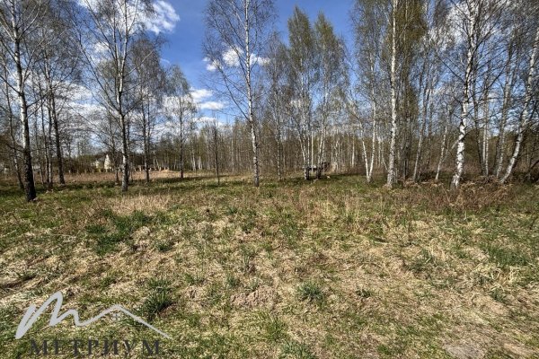 Аренда открытой площадки для вашего бизнеса недалеко от г. Минска д. Алексеевка, ул. Виноградная, 2! - фото 6