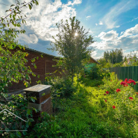 Фотография Продажа дачи в СТ «Свитанак-Перхурово», 17 км от МКАД, Дзержинский район, Раковское направление - фото 7