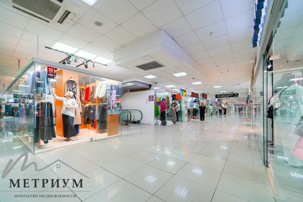 Торговое помещение 30,4 м2, ул. Немига, д. 3 - фото 4